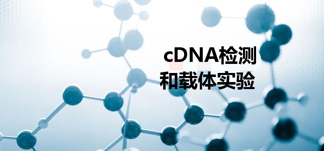cDNA檢測(cè)和載體實(shí)驗(yàn)